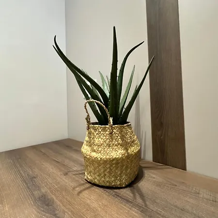 Apartman Suite *